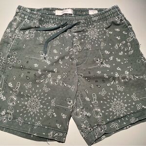PacSun Green Cargo Shorts